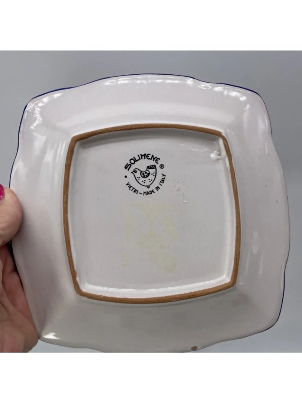 Vietri these plates